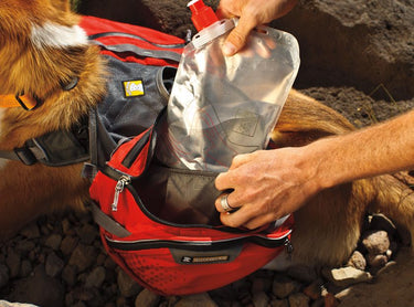 Ruffwear Palisades Multi-Day Dog Backpack - M